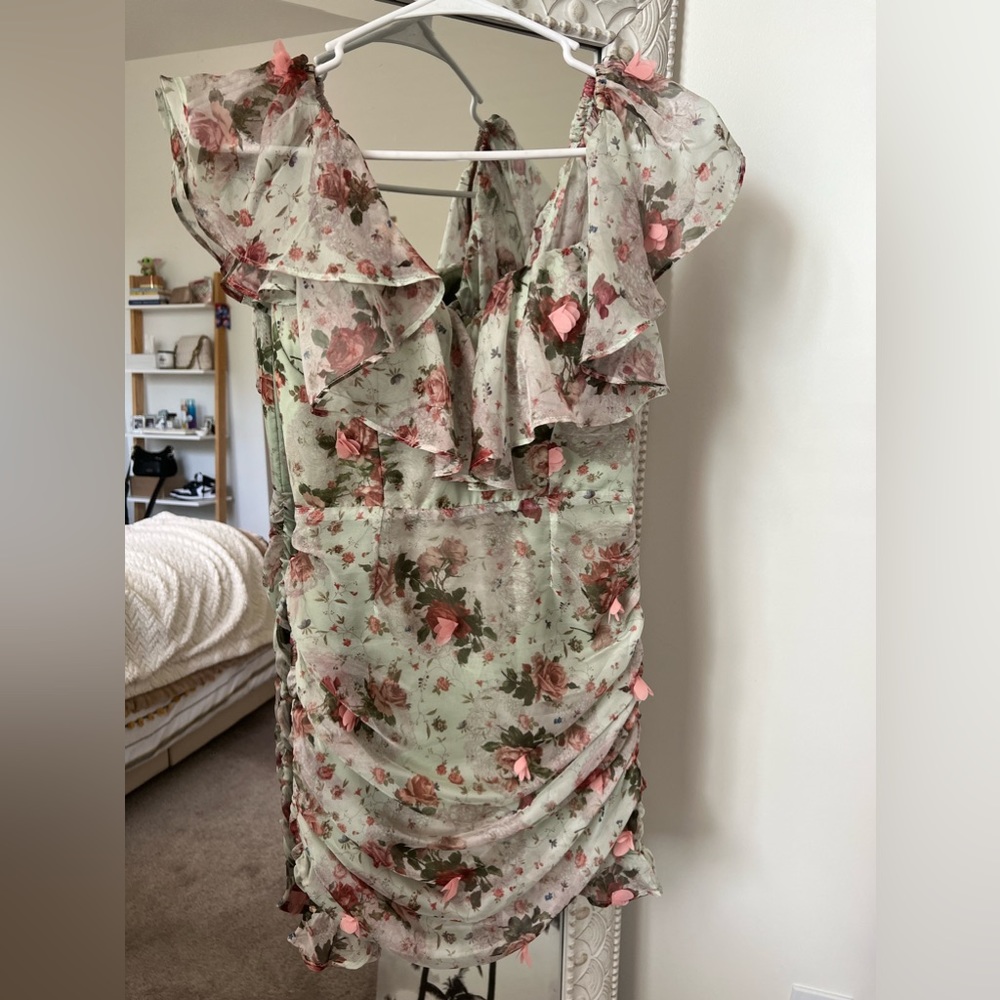 Runaway Oriana Dress in Mint Floral